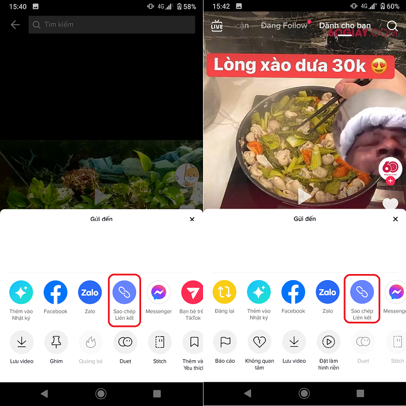 lấy link video tiktok