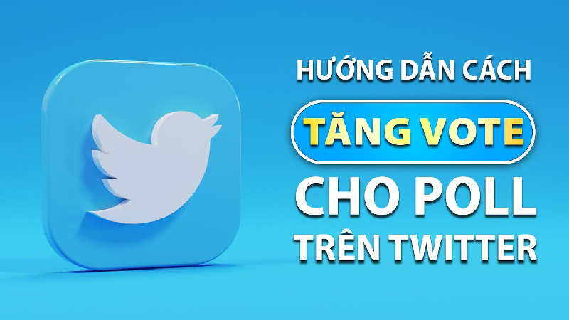 tăng vote poll twitter
